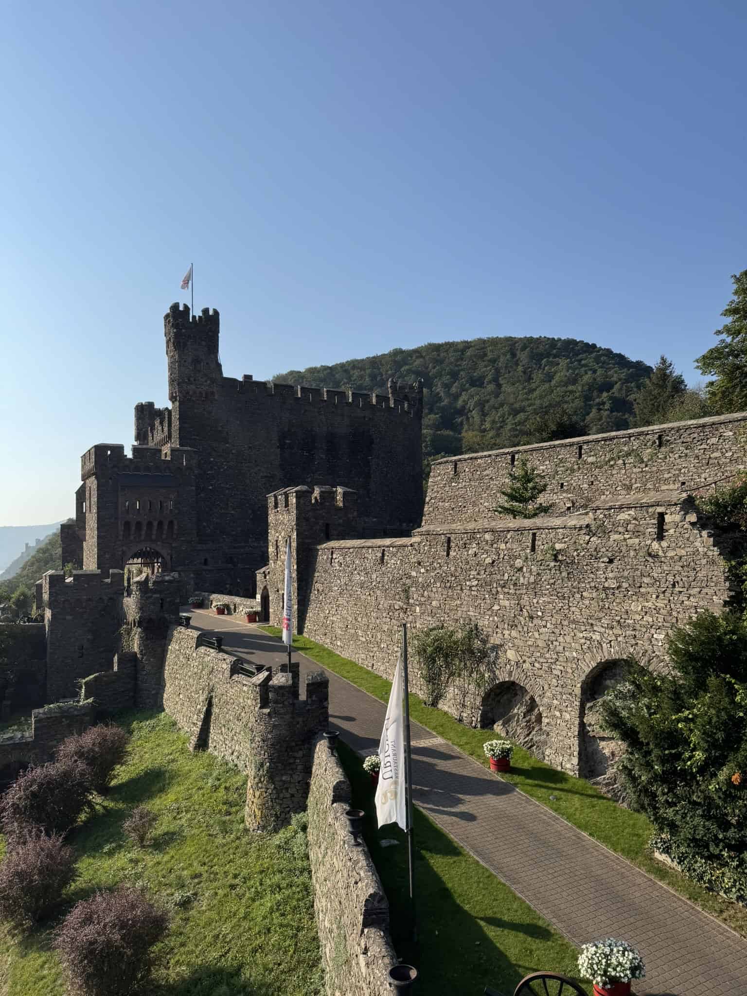 Burg Reichenstein_02_IMG_3843